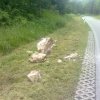 Einsatz &raquo; 20100002_Steinschlag